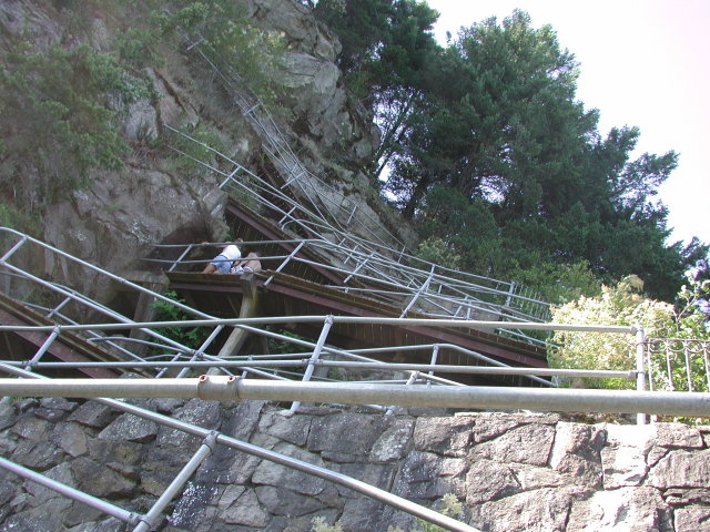 DSCN7516