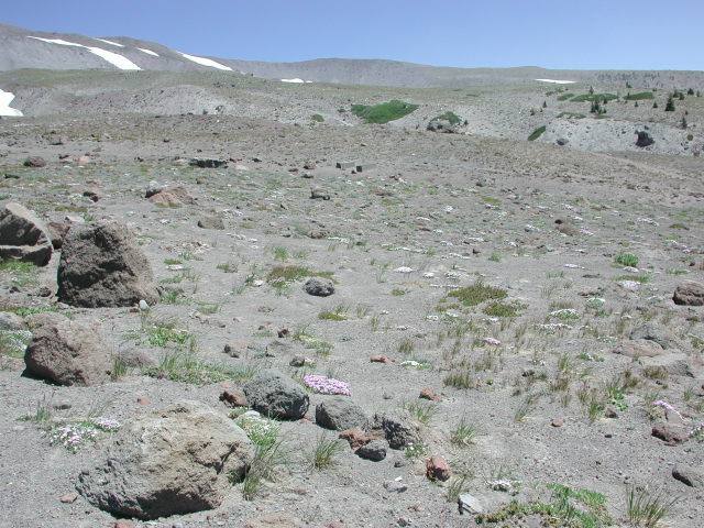 DSCN7408