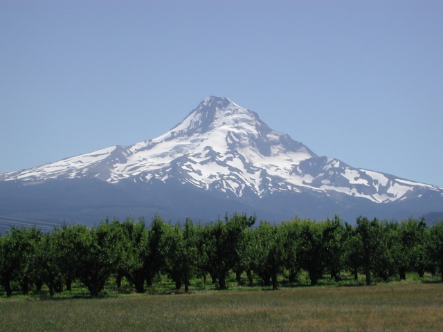 DSCN7443