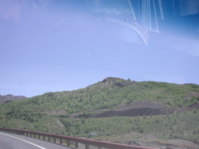 DSCN7539