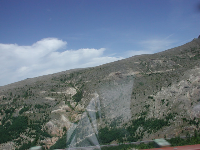 DSCN7541