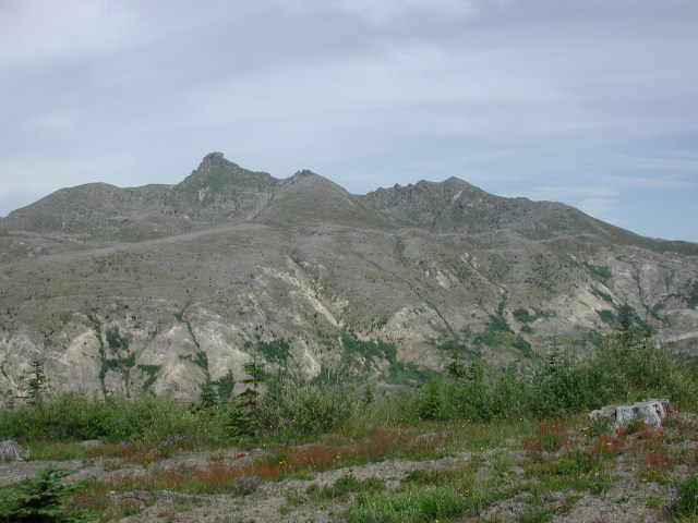 DSCN7548