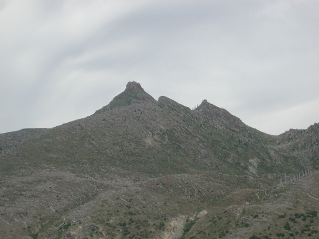 DSCN7563