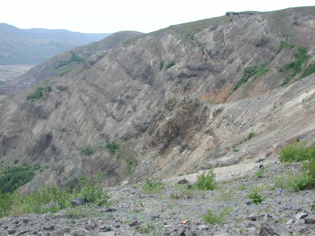 DSCN7570