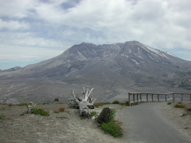 DSCN7576
