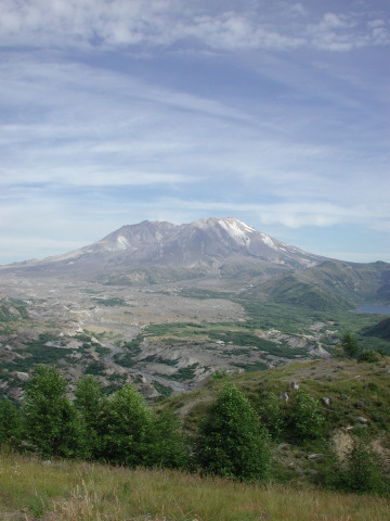 DSCN7589