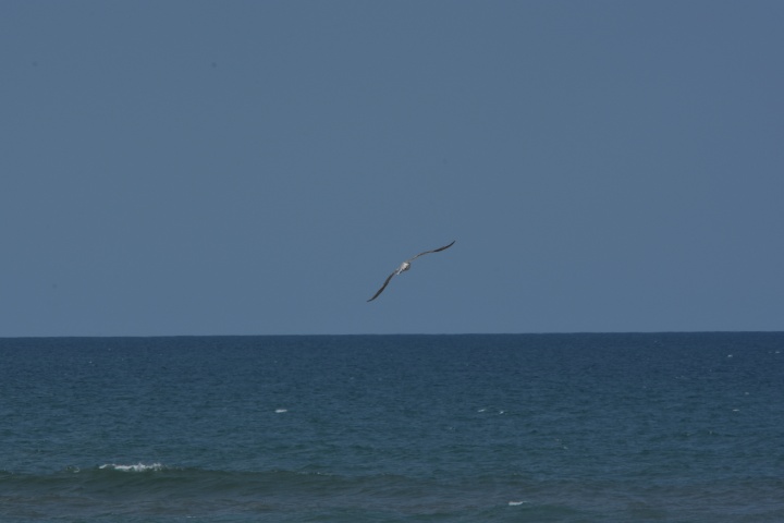 DSC_0552