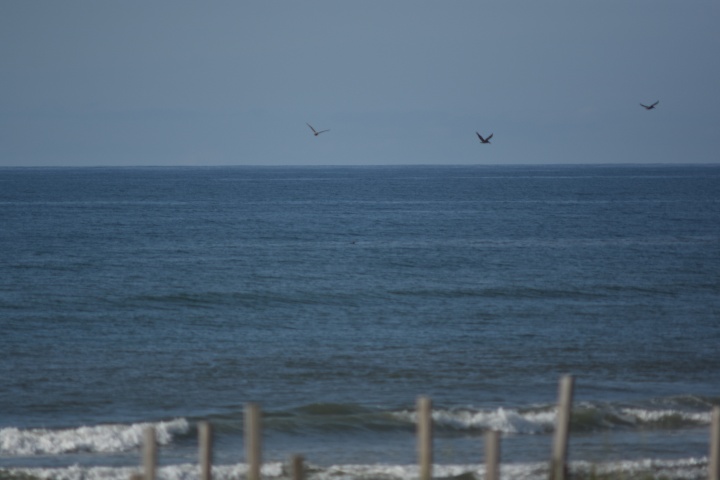 DSC_0678