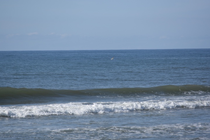 DSC_0691