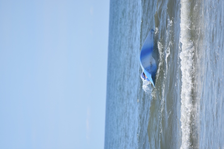 DSC_0724