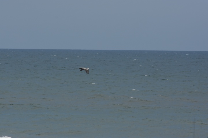 DSC_0837