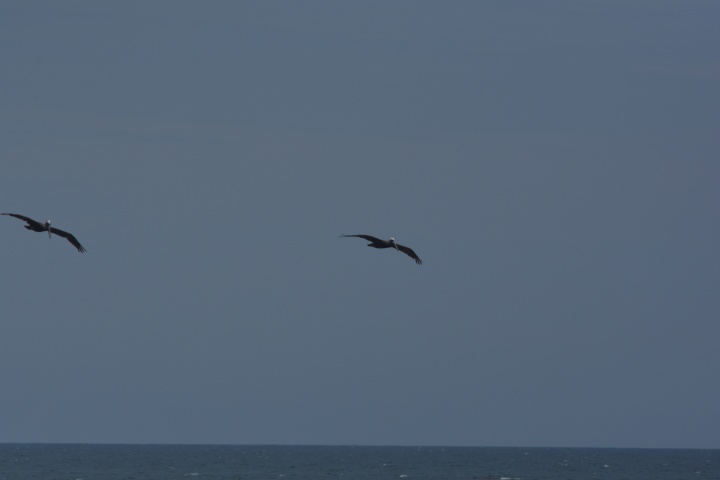 DSC_0851