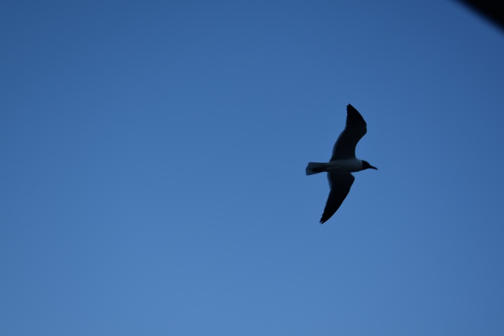 DSC_0894