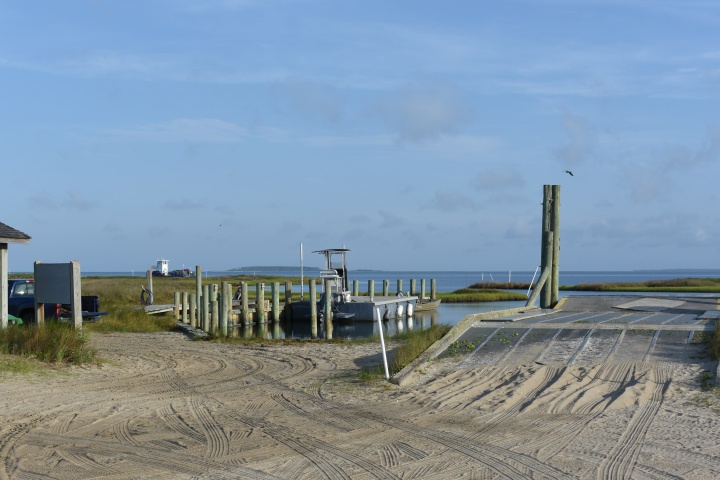 DSC_1001
