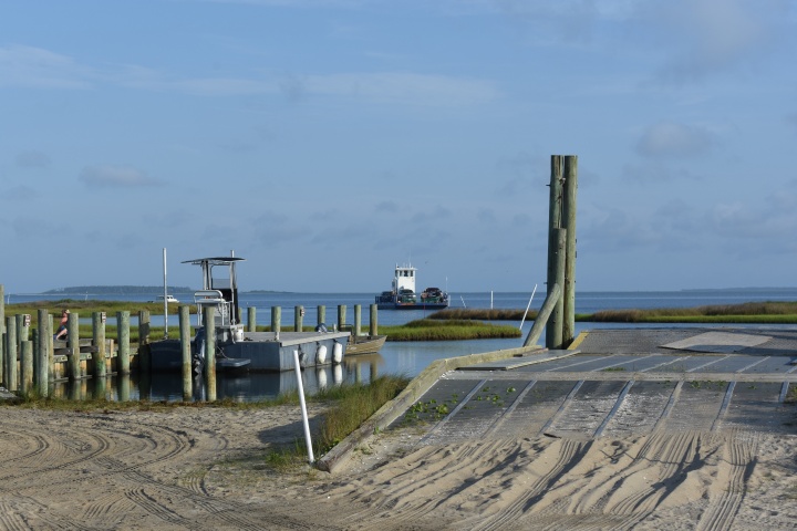 DSC_1002