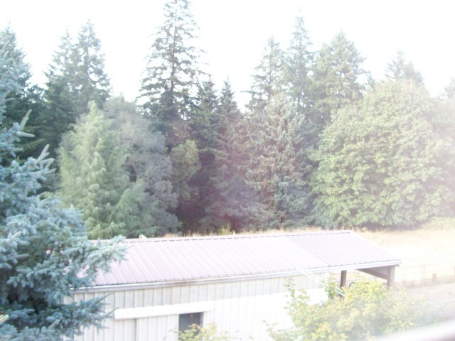 102_0690