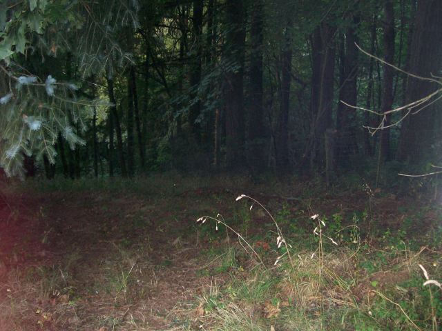 102_0702
