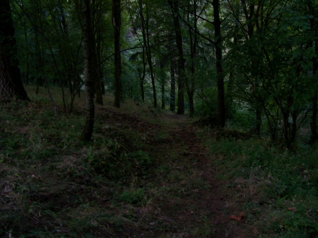 102_0704