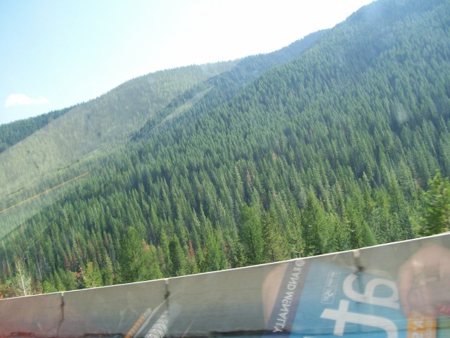 102_0726