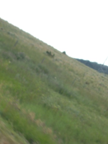 102_0790