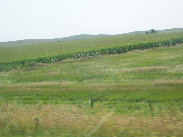 102_0929