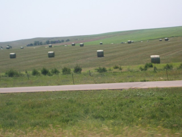 102_0933