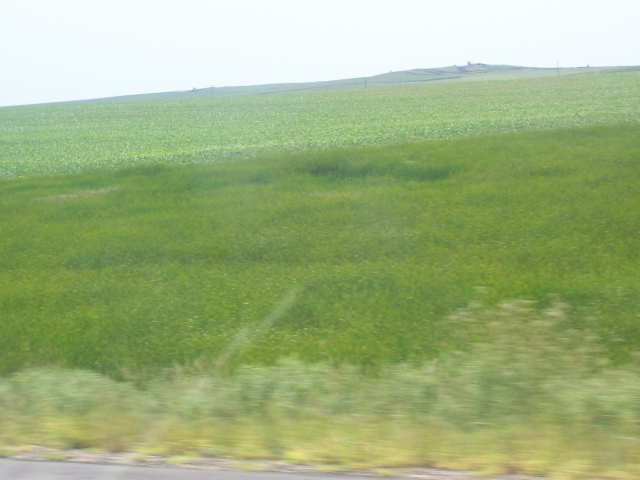 102_0942
