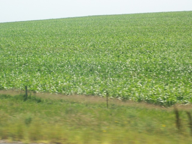 102_0944