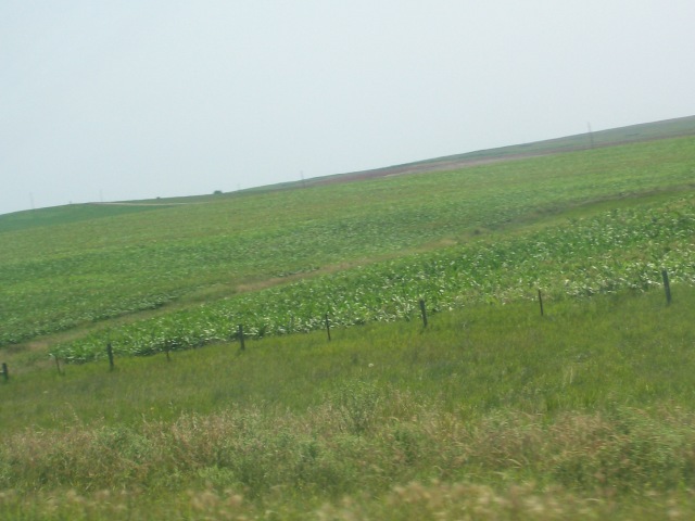102_0946