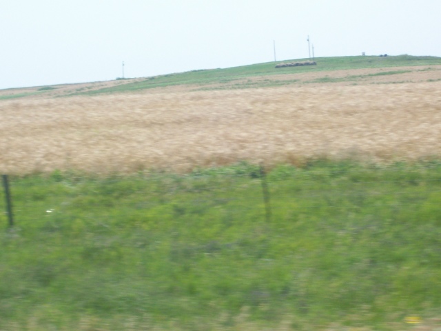 102_0950
