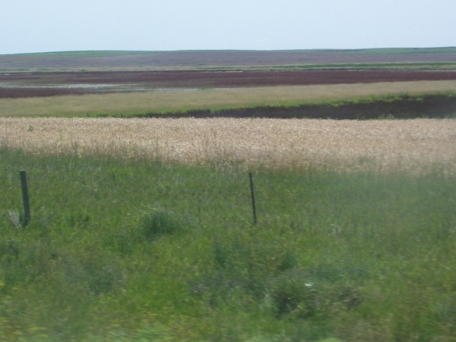 102_0951