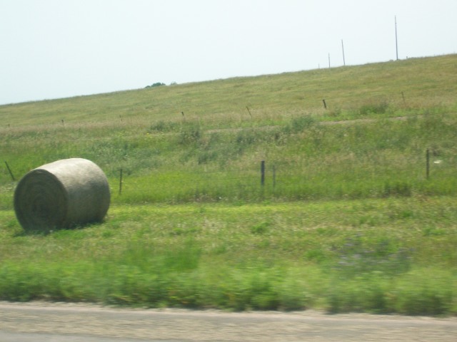 102_0955