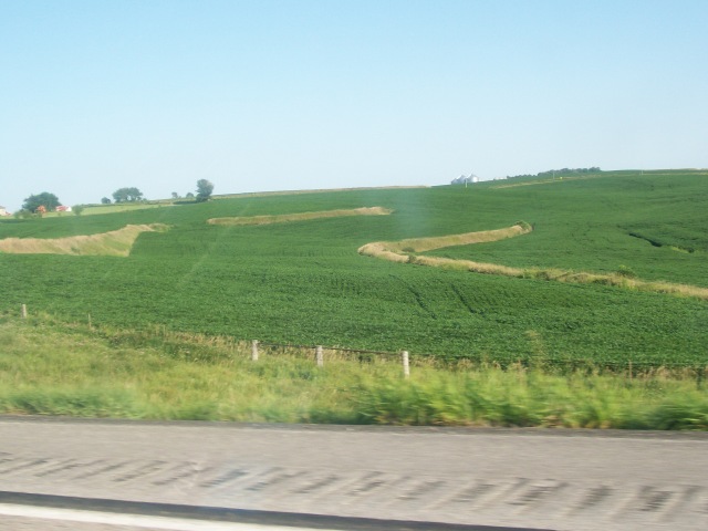 102_1138