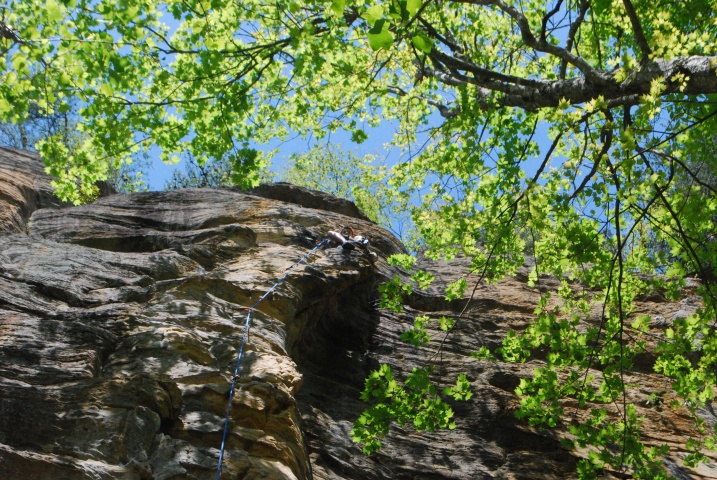 DSC_3223
