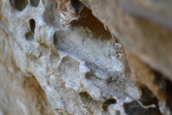 DSC_0217