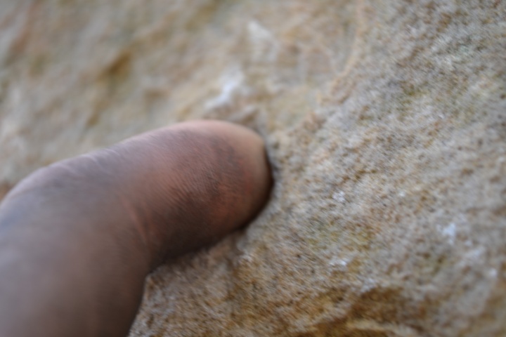 DSC_0246