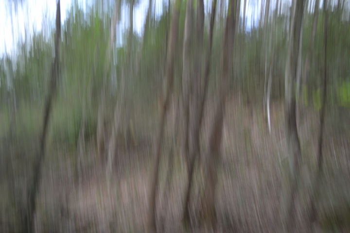 DSC_0255