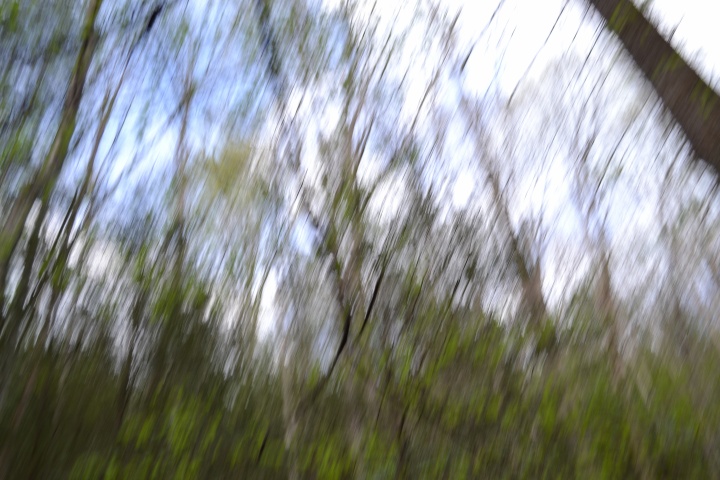 DSC_0258