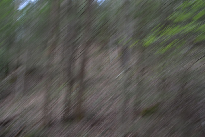 DSC_0259