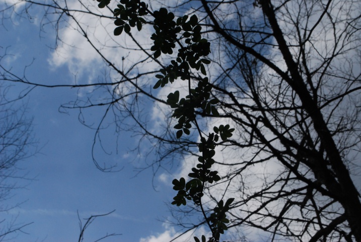 DSC_6389