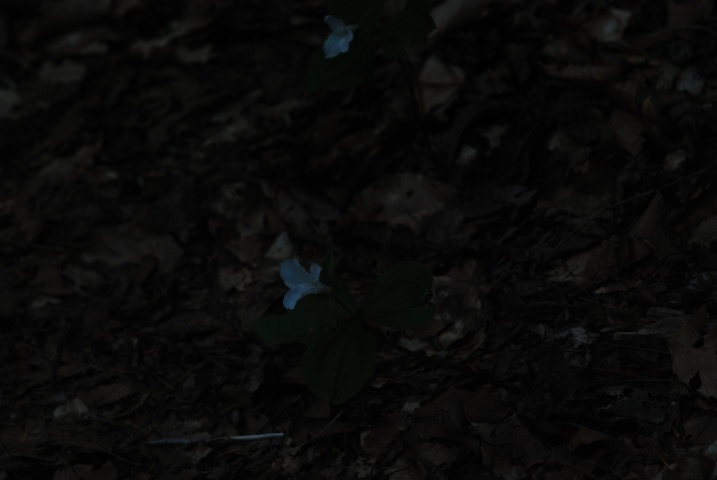 DSC_6464