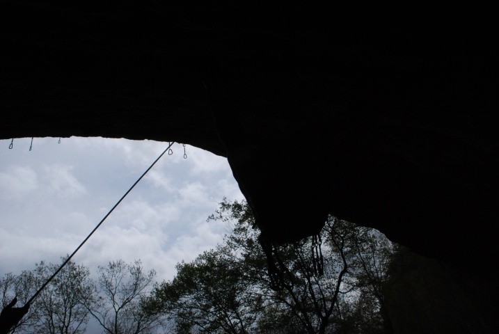 DSC_6484