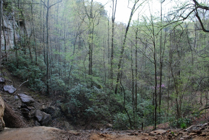 DSC_6500