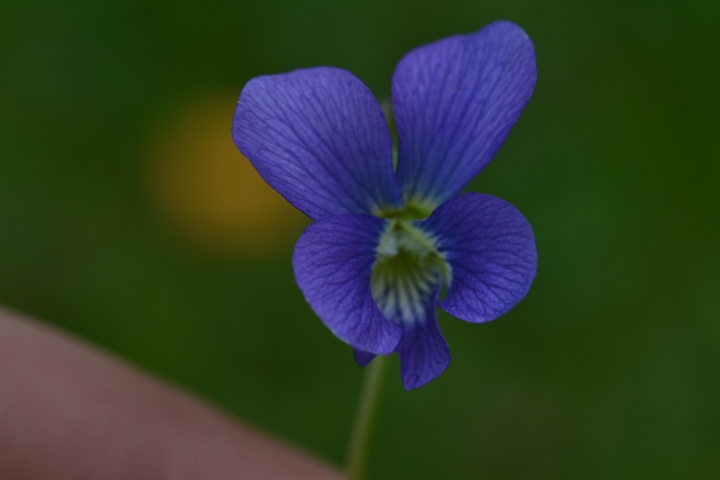DSC_8770