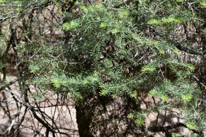 DSC_0045
