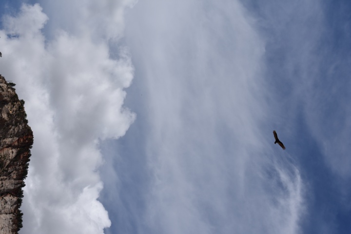 DSC_0077