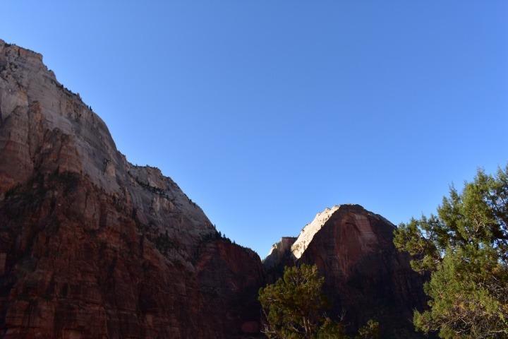 DSC_0276