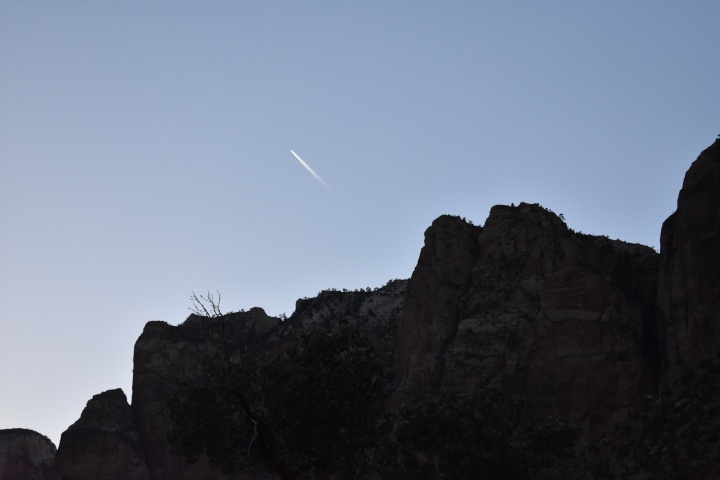 DSC_0350