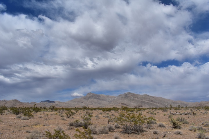 DSC_0385