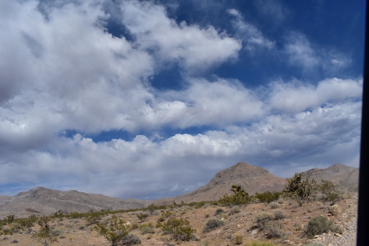 DSC_0386